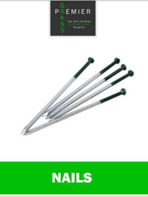 Galvanized Nails (Pack of 20)