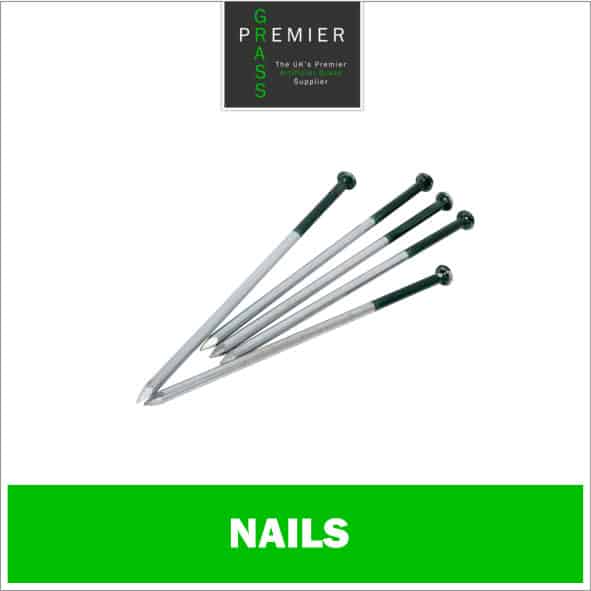 Galvanized Nails (Pack of 20)